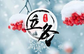 节气∣立冬——雁声入梦凉，山月各苍茫